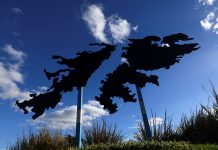 Malvinas: un especialista analizó el nuevo escenario tras las declaraciones de Trump y advirtió sobre un riesgo estratégico