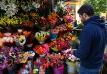 Primavera 2026: cuánto cuesta regalar flores y cuáles son las alternativas más económicas