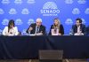 Senado: aliados de la UCR, el PRO y el PJ disidente frenaron el dictamen del Súper RIGI