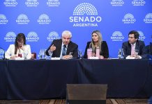 Senado: aliados de la UCR, el PRO y el PJ disidente frenaron el dictamen del Súper RIGI