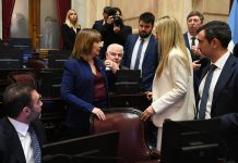 Senado: libertarios destraban leyes y alivian la agenda de cara al tramo final de sesiones ordinarias