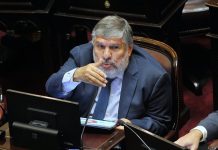 Venta de tierras: el kirchnerismo en el Senado busca restituir la ley de 2011 y el tope de 15% a extranjeros