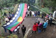 Villa La Angostura: la Justicia reconoció la propiedad de una familia, pero rechazó desalojar a una comunidad mapuche