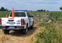 Ayudaba a carnear un chancho cuando un amigo disparó por accidente y lo mató
