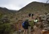 Cómo sigue la búsqueda del docente que lleva más de una semana perdido en un cerro de Tucumán
