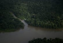 El fraile que documentó las comunidades florecientes del Amazonas antes de que desaparecieran y las crónicas descartadas de la historia