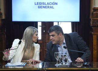 El Senado busca consensuar la creación de un registro de deudores alimentarios morosos