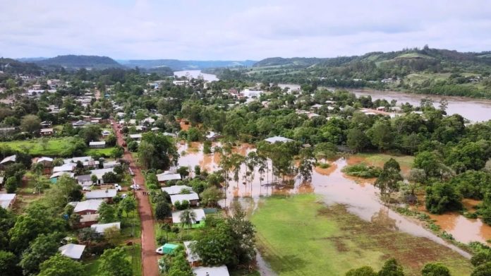 La crecida del Paraná complicó los accesos en Misiones y puso en riesgo al ganado en Corrientes: “Hay productores que están con el agua encima”