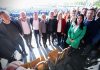 Más de 80 intendentes sin reelección: sucesiones, internas y una ley que reordena el mapa político
