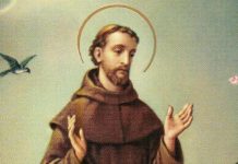 Murió desnudo sobre su tierra, pidió ser enterrado con los marginados y su tumba estuvo perdida 600 años: el legado de Francisco de Asís