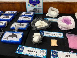 Pilotos de automovilismo y cocaína con un delfín como sello: cayó una banda narco de Mar del Plata