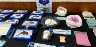 Pilotos de automovilismo y cocaína con un delfín como sello: cayó una banda narco de Mar del Plata