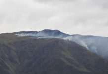 Preocupación por un incendio forestal en San Luis: ya consumió cerca de 15 hectáreas y trabajan para contenerlo