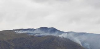 Preocupación por un incendio forestal en San Luis: ya consumió cerca de 15 hectáreas y trabajan para contenerlo