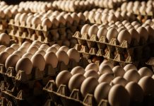 Presentaron en el Congreso un proyecto de ley de etiquetado de huevos