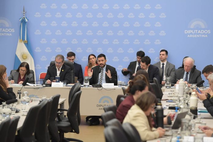 Presupuesto: el Gobierno afirmó que se eliminaron 81