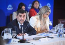 Propiedad privada: se demora en el Senado el dictamen que incluye límites a la venta de tierra a extranjeros