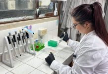 Radiografía del CONICET en tiempos de Milei: recorte de fondos, reducción de becarios y menos investigaciones