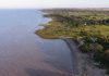Tiene 25.000 hectáreas, alberga a 200 especies de aves y playas de arena y barro: cómo es el parque costero de Buenos Aires reconocido por la UNESCO