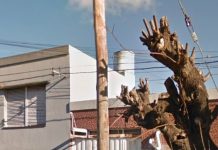 Tragedia en La Plata: un hombre murió al caer del techo de su casa cuando intentaba reparar el tanque de agua
