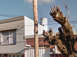 Tragedia en La Plata: un hombre murió al caer del techo de su casa cuando intentaba reparar el tanque de agua