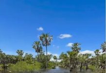 Un impactante operativo se llevó a cabo en Chaco para rescatar animales de las inundaciones por El Niño