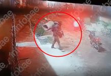 Video: brutal asesinato sicario en La Matanza con un fusil y un muerto que recibió diez tiros